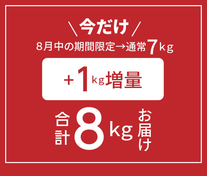 【ふるさと納税】先行予約 特典 増量中 訳あり にんじん 8kg 35本前後 国産 こどもも食べられる 生で食べられる 甘み 不揃い 大小サイズ混合 マドンナキャロット 野菜 JGAP認証農場 先行予約 ジュース 生鮮食品 碧南市 お取り寄せ かき揚げ 炊き込みご飯 煮物 送料無料