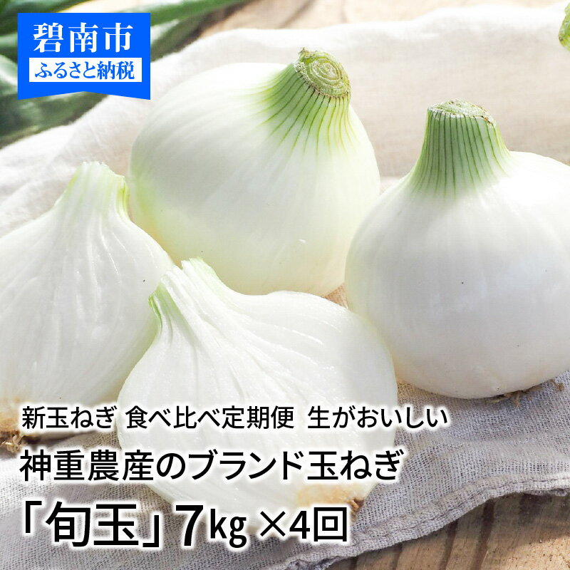 【ふるさと納税】【先行予約】新玉ねぎ 食べ比べ定期便 生がおいしい 神重農産のブランド玉ねぎ「旬玉」 玉ねぎ たまねぎ 定期便 7kg×4回