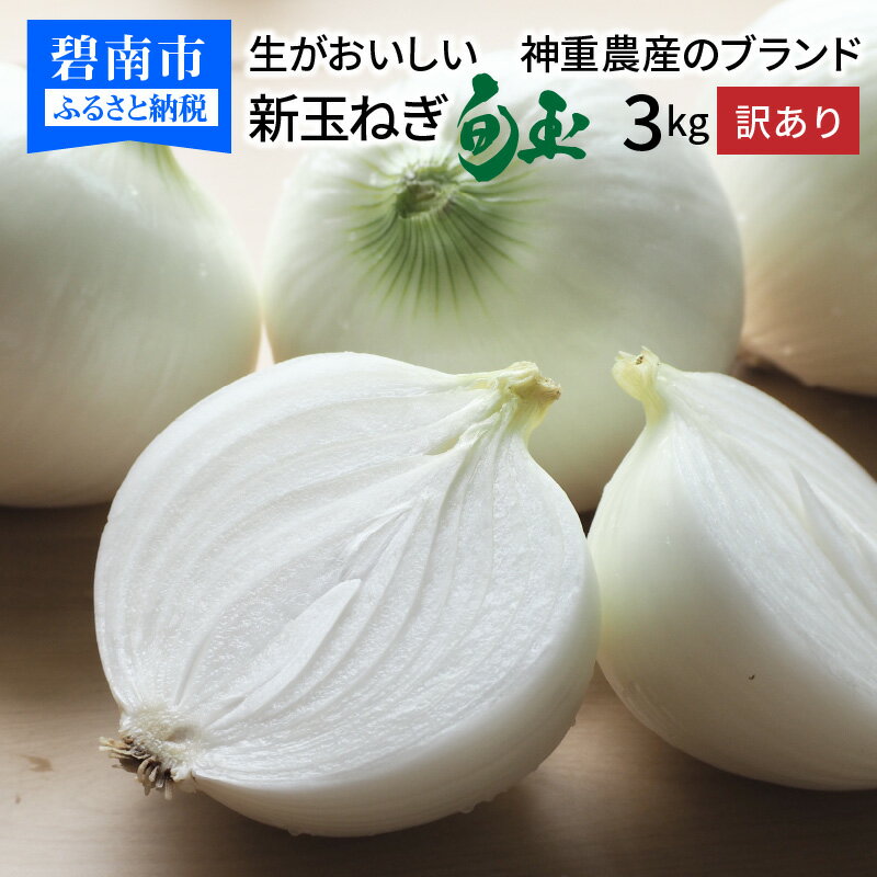 【ふるさと納税】事前予約 訳あり 新玉ねぎ 3kg 約 8玉前後 大小サイズ混合 不揃い 神重農産 ブランド 国産 玉ねぎ 旬玉 生がおいしい 程よい甘み 愛知県 碧南市 オニオンスライス 玉ねぎステーキ オニオンスープ お取り寄せ 送料無料