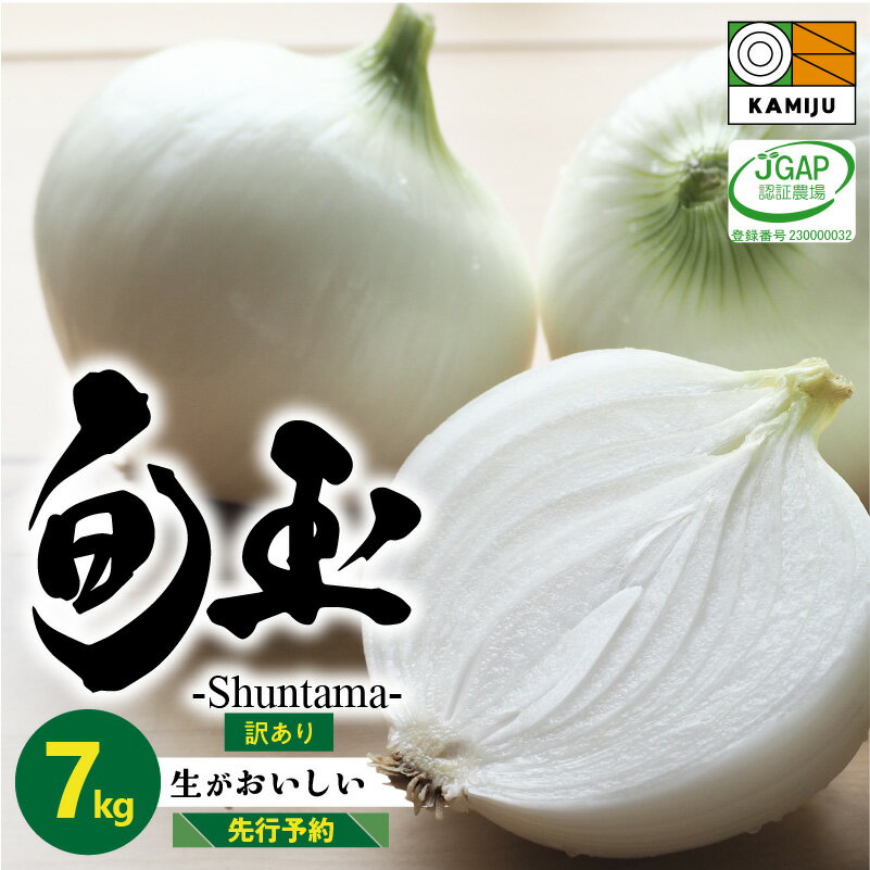 商品説明 名称 【ふるさと納税】訳あり 新玉ねぎ　生がおいしい 神重農産のブランド玉ねぎ「旬玉」7kg　H105-109 内容量 7kg（大小サイズ混合）※季節により変わります※箱の重さを含みます　 発送期日 3月から6月上旬に発送 ※生もののため、沖縄県と一部離島に関しては寄附お受けできません。ご了承ください。 ※3月以降のお申込みは、決済から2カ月程度で発送（収穫の状況により発送が遅れる場合があります。） 消費期限 生鮮食品のためなるべく早めにお召し上がりください。 配送方法 常温 保存方法 風通しのいい涼しい場所にて保管をお願いします。お早めにお召し上がりください。 商品説明 旬玉とは… 旬玉はミネラルをふんだんに与えているため、えぐみが少ないので、生でそのまま水にさらさず食べれる新玉ねぎです。 程よい甘みと、溢れ出すみずみずしさ、白く肉厚な実が最大の特徴です。 春から初夏の季節の移ろいと共にリレーのように旬のおいしい品種を順番に収穫していき、かみじゅう農産がじっくり大切に育てています。 ぜひ、移り行く季節と旬の味をお楽しみ下さい。 玉ねぎの辛味が苦手な方は、オニオンスライスに切って、冷蔵庫で少し寝かせてからたべるのが、おすすめです。 火を通すとグッと甘みがますので、玉ねぎステーキやオニオンスープでもぜひお楽しみ下さい。 ※旬玉は神重農産の登録商標です。登録商標番号6306197 ※写真と箱のパッケージが変わる場合があります。 ※訳ありの玉ねぎは、収穫の状況により発送にお時間を頂く場合があります。 訳ありの理由 収穫途中の傷や個性的に育った玉ねぎになります。訳ありといっても、味は正規品と変わりません！ ・レモンのような細長い形の玉ねぎや形の歪な玉ねぎ ・双子の玉ねぎ ・収穫中に皮がむけたり、傷がついた玉ねぎ ・中心に芯がある玉ねぎ　など 注意事項 ※不在日がある場合が備考欄にご記載ください。※天候や生育により、発送開始日が遅れる場合があります。玉ねぎは柔らかいため、一玉一玉手作業で収穫され一玉一、人の手で厳選して箱に入ってます。 しかし、玉ねぎは傷付きやすいため、輸送中に傷んでしまう場合もあります。 荷物が到着したら、すぐに箱を空け、下の方の玉ねぎも見て下さいね。 チェックしたら、風通しのいい涼しい場所において下さい。 玉ねぎは保存がききません。玉ねぎが元気なうちに早めに食べてあげて下さいね！ ※写真と箱のパッケージが変わる場合があります。 発送元 神重農産 【090-9916-4255】 ・ふるさと納税よくある質問はこちら ・寄附申込みのキャンセル、返礼品の変更・返品はできません。あらかじめご了承ください。【ふるさと納税】訳あり 新玉ねぎ　生がおいしい 神重農産のブランド玉ねぎ「旬玉」7kg　H105-109 入金確認後、注文内容確認画面の【注文者情報】に記載の住所にお送りいたします。 発送の時期は、寄附確認後2週間を目途に、お礼の特産品とは別にお送りいたします。