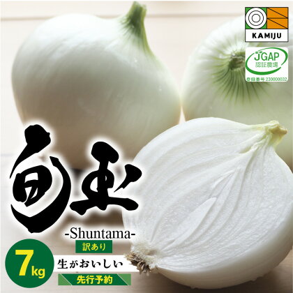 高評価☆4.68 訳あり とにかく甘い 新玉ねぎ 旬玉 7kg 季節ごとの旬玉 玉ねぎ 甘み豊か みずみずしい オニオン 生がおいしい フレッシュ サラダ 玉ねぎステーキ オニオンスープ JGAP認証農場 神重農産 お取り寄せ 愛知県 碧南市 送料無料