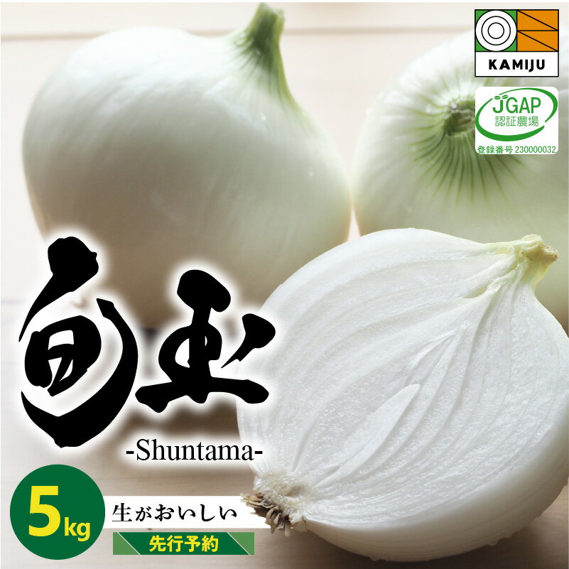 【ふるさと納税】 とにかく甘い 新玉ねぎ 旬玉 5kg サイズ 混合 JGAP認証農場 神重農産 ブランド玉ねぎ..