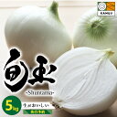 【ふるさと納税】高評価☆5.00 とにかく甘い 新玉ねぎ 旬玉 5kg サイズ 混合 農場 神重農産 ブランド玉ねぎ 生がおいしい フレッシュ みずみずしい ミネラル 玉ねぎ オニオン 野菜 スライス サラダ 玉ねぎステーキ オニオンスープ BBQ お取り寄せ 愛知県 碧南市 送料無料
