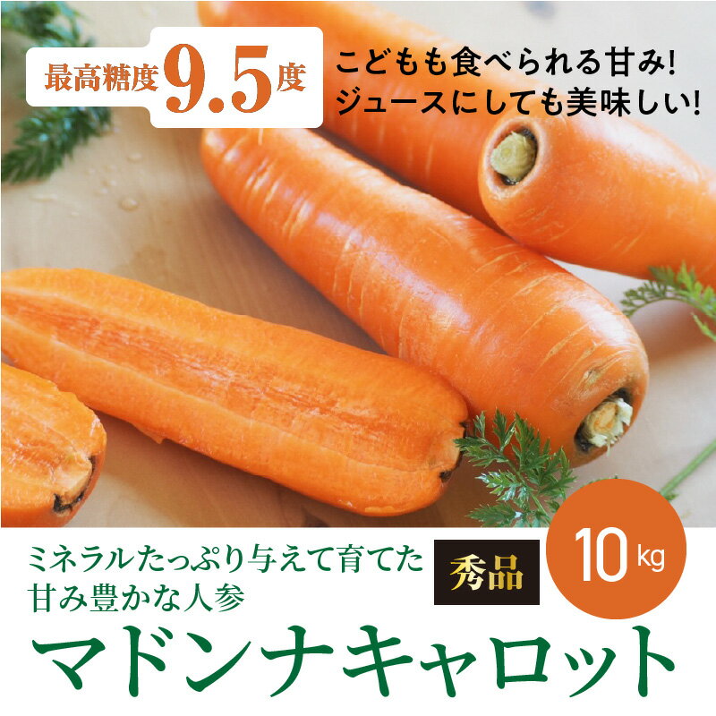 【ふるさと納税】こどもも食べられる甘み！ジュースにしても美味しい！「マドンナキャロット」 10kg 神重農産 送料無料