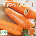 こどもも食べられる甘み！ジュースにしても美味しい！「マドンナキャロット」 10kg 神重農産 送料無料