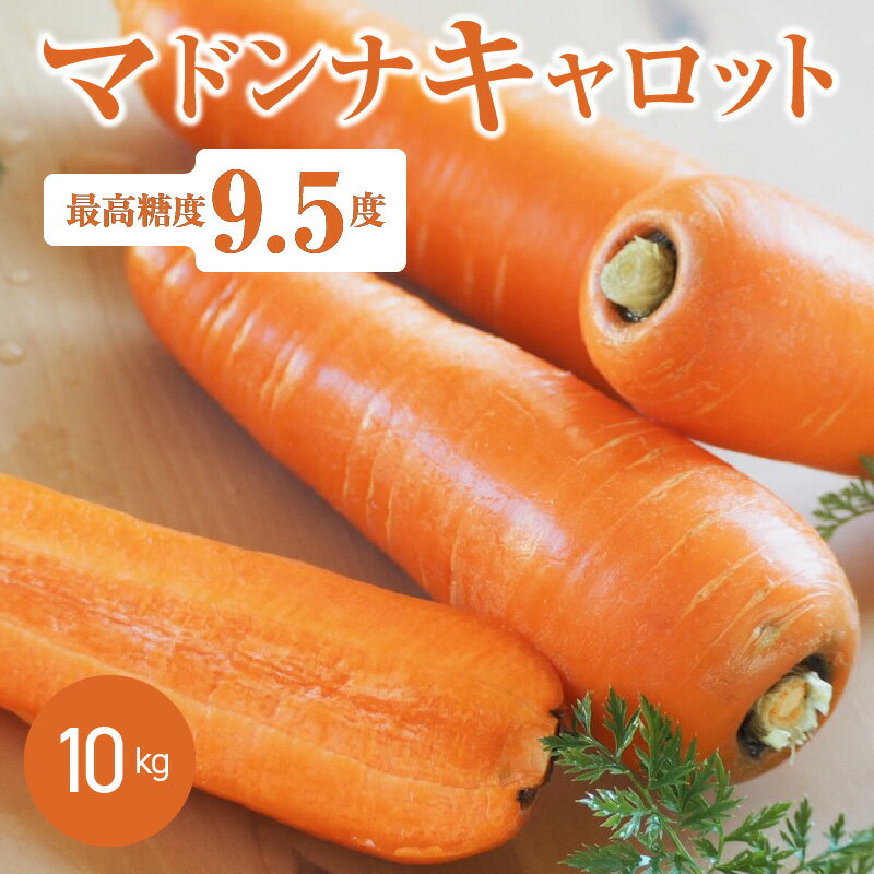 【ふるさと納税】こどもも食べられる甘み！ジュースにしても美味しい！「マドンナキャロット」 10kg 神重農産 送料無料