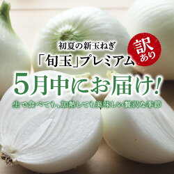 【ふるさと納税】【先行予約】訳あり 期間限定 新玉ねぎ 旬玉 7kg 5月発送 初夏の新玉ねぎ 旬玉プレミアム 神重農産 ブランド玉ねぎ 玉ねぎ 国産 生がおいしい 程よい甘み オニオンスライス 玉ねぎステーキ オニオンスープ お取り寄せ 愛知県 碧南市 送料無料･･･ 画像1