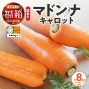 【ふるさと納税】福箱 訳あり 野菜 にんじん マドンナキャロット 8kg 国産 不揃い 食品ロス 削減 こどもも食べられる 甘み 料理 人参ステーキ かき揚げ 炊き込みご飯 煮物 キャロット ジュース 野菜ジュース 愛知県 碧南市 お取り寄せ 送料無料