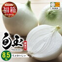 【ふるさと納税】 福箱★2026 訳あり 期間限定 とにかく甘い 新玉ねぎ 8.5kg 国産 旬玉 玉ねぎ オニオン 生のまま食べられる みずみずしい フレッシュ えぐみが少ない 肉厚 オニオンスライス 玉ねぎステーキ オニオンスープ 野菜 福袋 愛知県 碧南市 お取り寄せ 送料無料