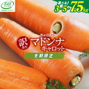 【ふるさと納税】高評価☆4.91 訳あり 国産 にんじん マドンナキャロット 3kg 5kg 7.5kg 先行予約 生鮮食品 甘みたっぷり 不揃い サイズ..