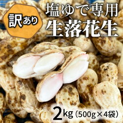 【ふるさと納税】事前予約 訳あり やみつき 極うま 生落花生 2kg 500g × 4袋 生ピーナッツ 塩ゆで専用 夏の味覚 地豆 さとのか 落花生 朝採り 夏の味覚 かみじゅう農産 おつまみ 愛知県 碧南市 送料無料･･･ 画像1