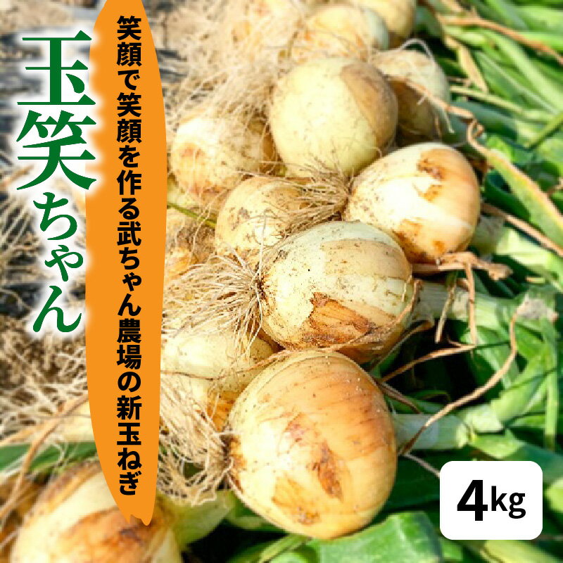 【ふるさと納税】新玉ねぎ 玉笑ちゃん 4kg 玉ねぎ 玉葱 タマネギ オニオン 常備野菜 保存野菜 オニオンスープ 碧南市 産地直送 送料無料