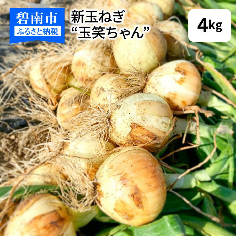 新玉ねぎ 玉笑ちゃん 4kg 玉ねぎ 玉葱 タマネギ オニオン 常備野菜 保存野菜 オニオンスープ 碧南市 産地直送 送料無料