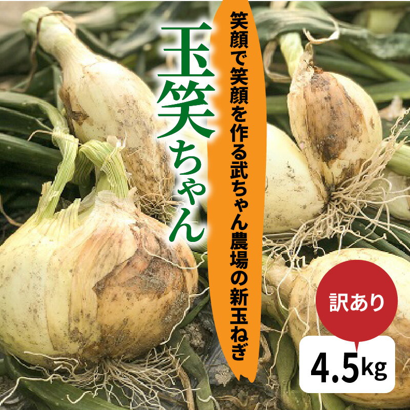 【ふるさと納税】 食品ロス削減 新玉ねぎ 玉笑ちゃん 4.5kg 玉ねぎ 玉葱 タマネギ オニオン 常備野菜 保存野菜 オニオンスープ 愛知県 碧南市 産地直送 送料無料