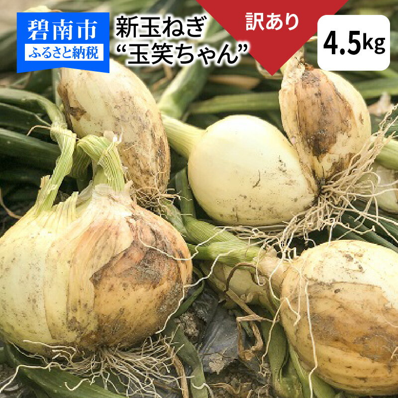 【ふるさと納税】 訳アリ 新玉ねぎ 玉笑ちゃん 4.5kg 玉ねぎ 玉葱 タマネギ オニオン 常備野菜 保存野菜 オニオンスープ 愛知県 碧南市 産地直送 送料無料