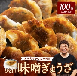 【ふるさと納税】居酒屋のおかあちゃん手作り ひと口味噌ぎょうざ　100個(20個×5袋)