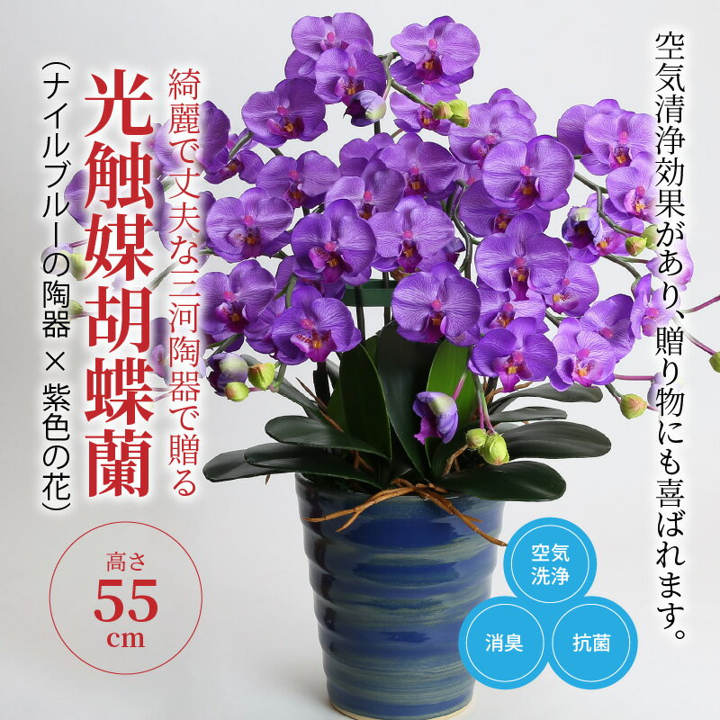 売れ筋商品 花 胡蝶蘭 造花 三河陶器 インテリア お祝い ギフト プレゼント 綺麗で丈夫な三河陶器で贈る 光触媒胡蝶蘭小輪5本立 ナイルブルーの陶器 紫色の花 Summitinternationalschool Com 売れ筋商品 花 胡蝶蘭 造花 三河陶器 インテリア お祝い ギフト プレゼント 綺麗で丈夫な三河陶器で贈る 光触媒胡蝶蘭小輪5本立 ナイルブルーの陶器 紫色の花 Summitinternationalschool Com
