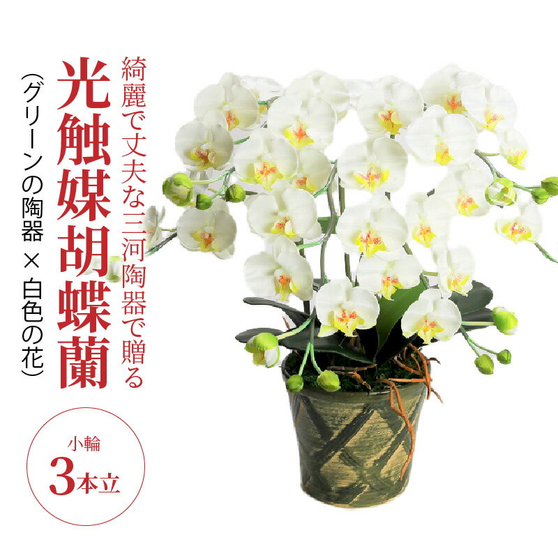 14位! 口コミ数「0件」評価「0」造花 胡蝶蘭 白色 小輪 3本立 三河焼 植木鉢 陶器 グリーン色 三河 消臭効果 光触媒加工 光触媒 インテリア 三河陶器 贈り物 ギフト･･･ 