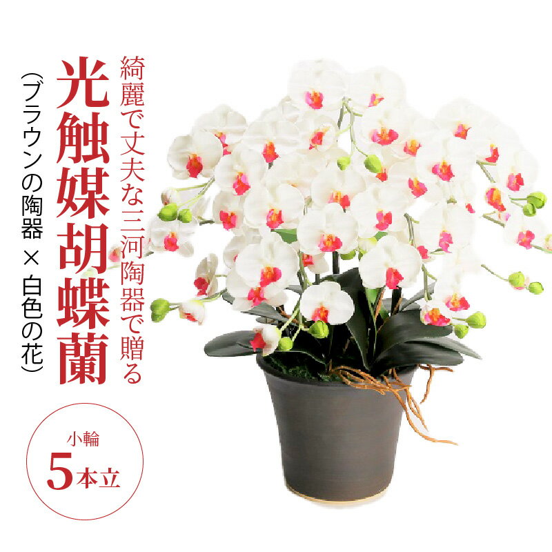 6位! 口コミ数「0件」評価「0」造花 胡蝶蘭 白色 小輪 5本立 三河焼 植木鉢 陶器 ブラウン 三河 消臭効果 光触媒加工 光触媒 インテリア 三河陶器 贈り物 ギフト ･･･ 