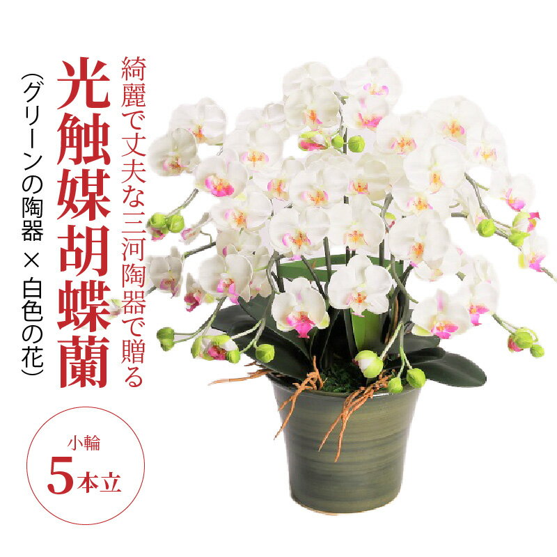 4位! 口コミ数「0件」評価「0」造花 胡蝶蘭 白色 小輪 5本立 三河焼 植木鉢 陶器 グリーン色 三河 消臭効果 光触媒加工 光触媒 インテリア 三河陶器 贈り物 ギフト･･･ 