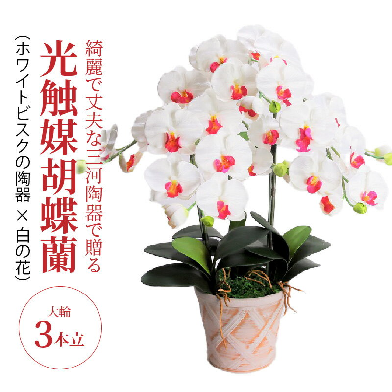 12位! 口コミ数「0件」評価「0」造花 胡蝶蘭 白色 大輪 3本立 三河焼 植木鉢 陶器 ホワイトビスク 三河 消臭効果 光触媒加工 光触媒 インテリア 三河陶器 贈り物 ギ･･･ 