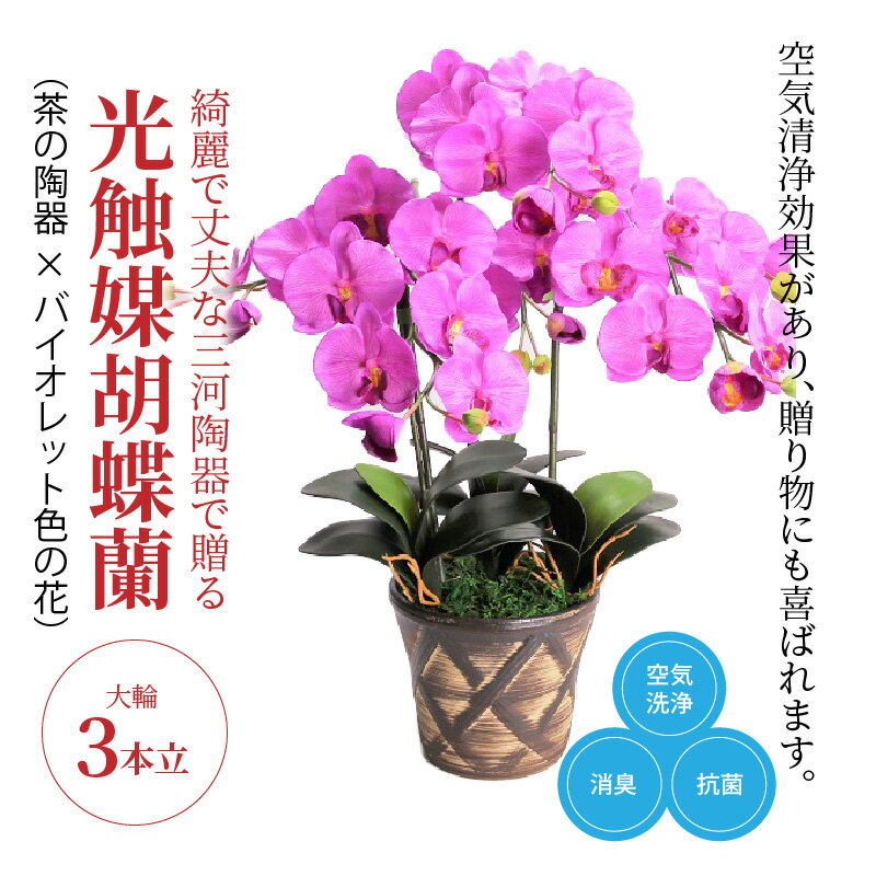 【ふるさと納税】造花 胡蝶蘭 バイオレット色 大輪 3本立 三河焼 植木鉢 陶器 茶色 三河 消臭効果 光触媒加工 光触媒 インテリア 三河陶器 贈り物 ギフト お祝い 出産 誕生日 お取り寄せ 愛知県 碧南市 送料無料