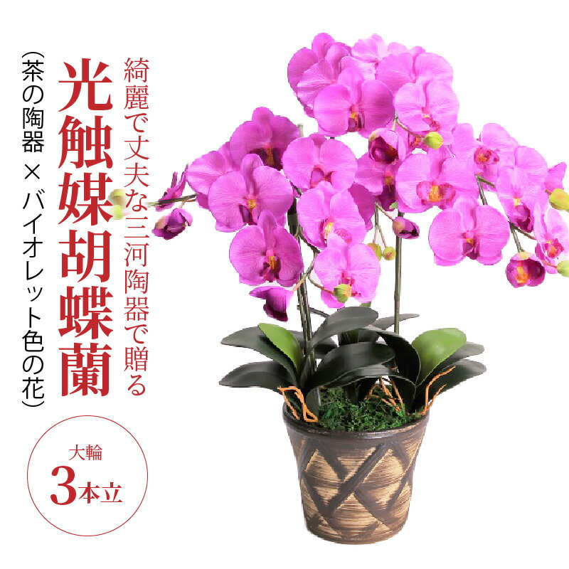 7位! 口コミ数「0件」評価「0」造花 胡蝶蘭 バイオレット色 大輪 3本立 三河焼 植木鉢 陶器 茶色 三河 消臭効果 光触媒加工 光触媒 インテリア 三河陶器 贈り物 ギ･･･ 