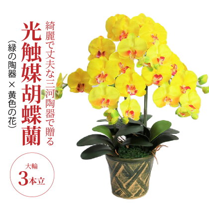 造花 胡蝶蘭 黄色 大輪 3本立 三河焼 植木鉢 陶器 緑色 三河 消臭効果 光触媒加工 光触媒 インテリア 三河陶器 贈り物 ギフト お祝い 出産 誕生日 お取り寄せ 愛知県 碧南市 送料無料