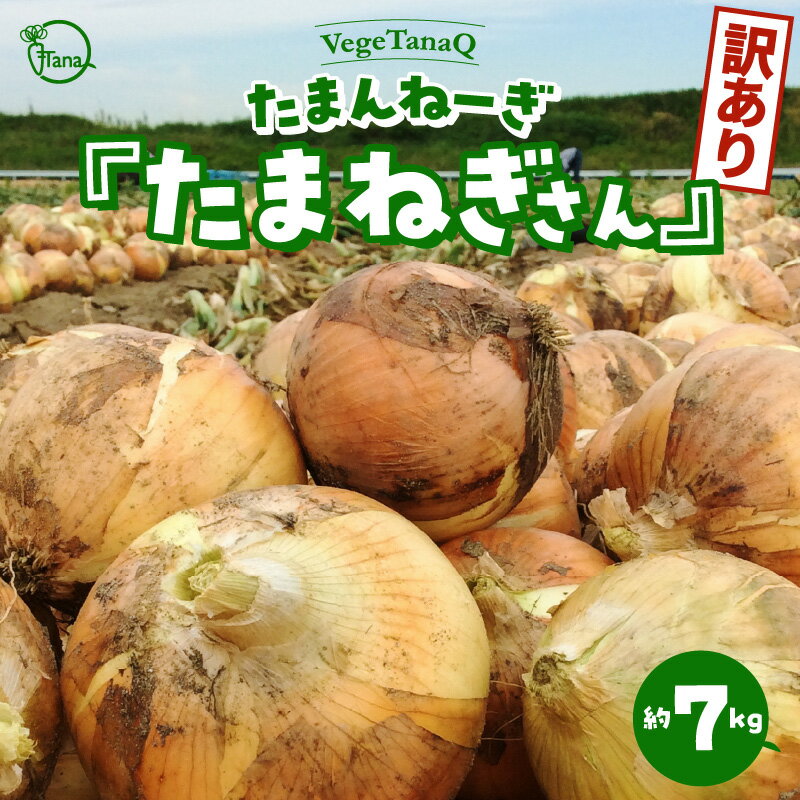 【ふるさと納税】2024年発送 予約 個数限定 たまねぎ 7kg たまんねーぎ たまねぎさん VegeTanaQ 産地直送 お取り寄せ 碧南市 送料無料