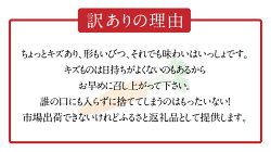 【ふるさと納税】個数限定 期間限定 訳あり にんじん 約 8kg 季節のにんじんちゃん 旬 VegeTanaQ 野菜ソムリエ セレクト 生鮮食品 野菜 国産 サラダ ジュース カレー ポトフ 炒め物 かき揚げ 煮物 お取り寄せ 愛知県 碧南市 送料無料･･･ 画像2