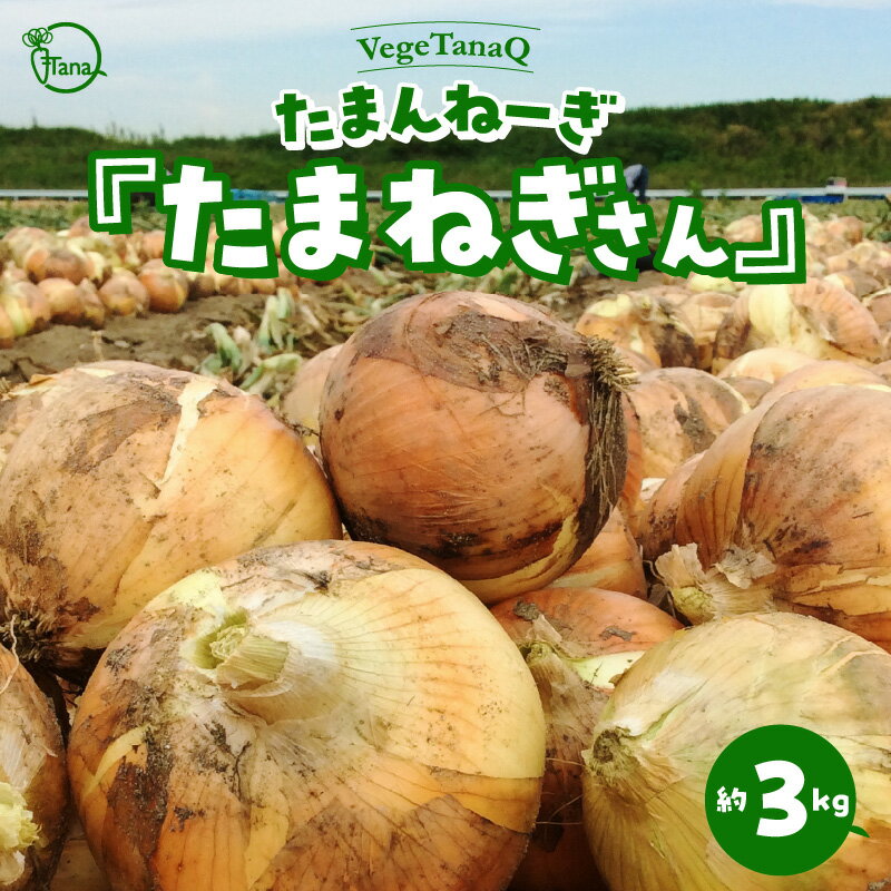 【ふるさと納税】2024年発送 予約 個数限定 たまねぎ 約3kg たまんねーぎ たまねぎさん VegeTanaQ 産地直送 お取り寄せ 碧南市 送料無料