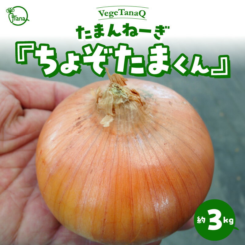 2024年発送 予約 個数限定 たまねぎ 約3kg たまんねーぎ ちょぞたまくん VegeTanaQ 産地直送 お取り寄せ 碧南市 送料無料