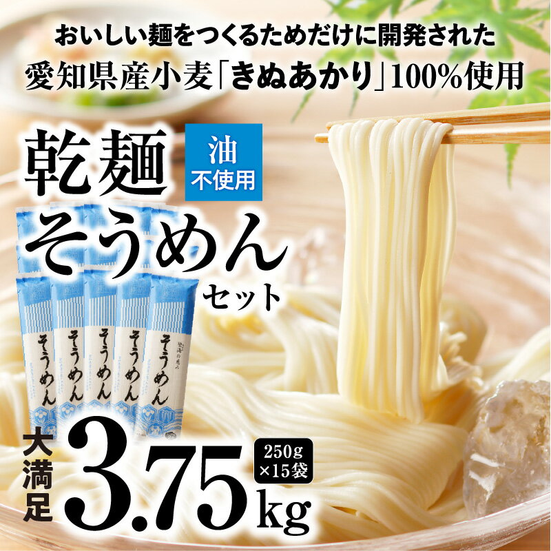 【ふるさと納税】 乾麺 碧海の恵み そうめん 愛知県産 3.75kg 250g × 15袋 きぬあかり使用 ざるそうめん かけそうめん 2人前 〜 3人前 セット 夏 愛知県 碧南市 送料無料