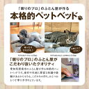 愛知県碧南市の画像2