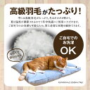 愛知県碧南市の画像3
