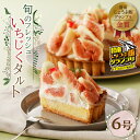 【ふるさと納税】高評価☆5.00 いちじくタルト フレッシュ 旬 鮮度 甘み 香り 乳化剤 安定剤 着色料 無添加 6号サイズ こだわり フルーツ スイーツ お...