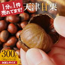 【ふるさと納税】【お試し】 天津甘栗 300g 栗爪付き 殻付き 発送当日 焼き上げ 焼きたて 栗 甘栗 保存料不使用 やさしい 甘み 職人 お菓子 おつまみ 栗ご飯 栗きんとん 甘露煮 食品 食べ物 お取り寄せ 愛知県 碧南市 送料無料