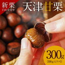 【ふるさと納税】【新栗】 先行予約 天津甘栗 300g 栗爪付き 甘栗 栗 やさしい 甘み スイーツ 和菓子 お菓子 おやつ 秋 秋の味覚 和スイーツ 予約受付 マロン 菓子 おつまみ 栗ご飯 栗きんとん 甘露煮 栗本来の甘さ 人気 お取り寄せ お取り寄せグルメ 愛知県 碧南市 送料無料