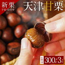 【ふるさと納税】〈新栗〉【旬限定の定期便】 先行予約 天津甘栗 300g × 3ヶ月 栗爪付き 甘栗 栗 やさしい 甘み スイーツ 和菓子 お菓子 おやつ 秋 ...