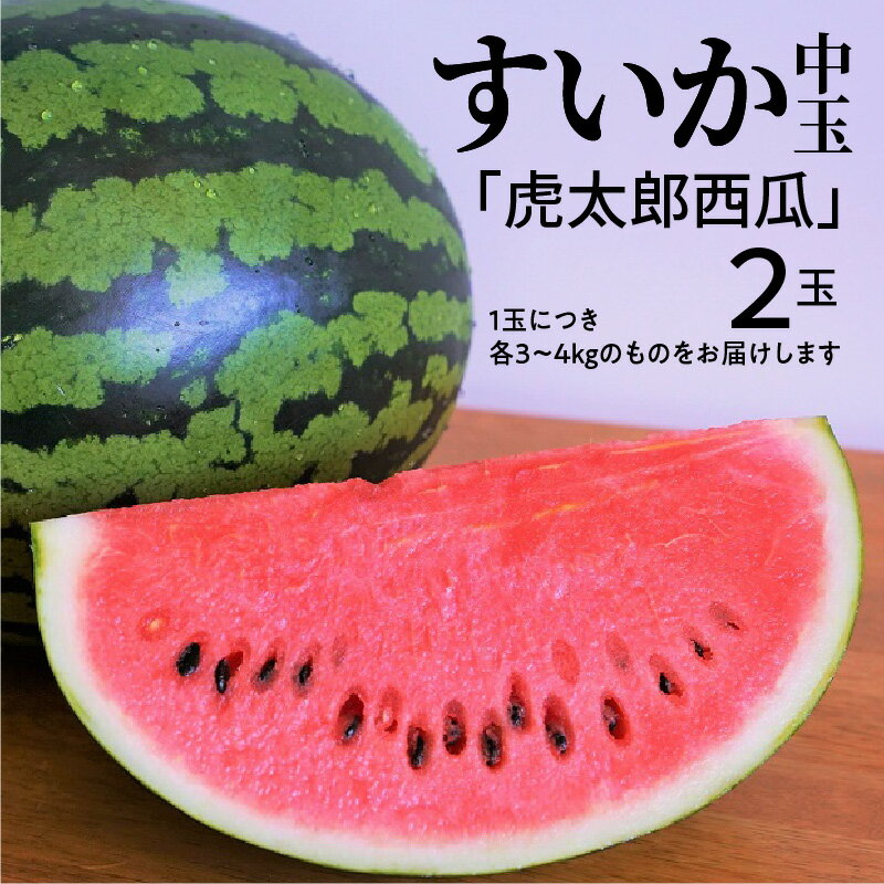 【ふるさと納税】2024年発送 予約 中玉すいか 虎太郎西瓜 2玉 夏 風物詩 すいか 甘い すいか2玉 スイカ ジューシー 鈴良農園 愛知県 碧南市 送料無料