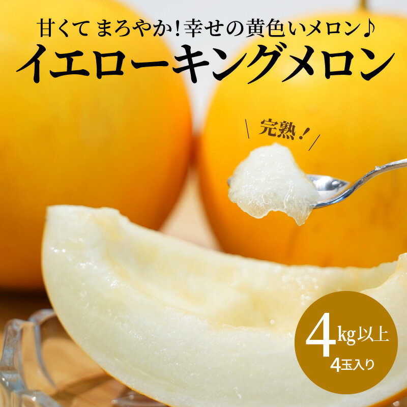 【ふるさと納税】メロン 完熟 イエローキングメロン 4kg 以上 4玉 入り 甘い 果物 柔らかい まろやか 食感 糖度 13〜15度 2024年 発送 鈴良農園 愛知県 碧南市 お取り寄せ お取り寄せフルーツ …