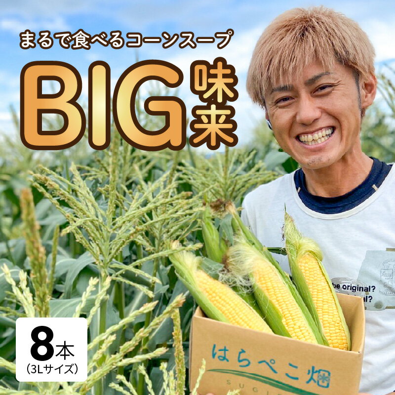 【ふるさと納税】お試し とうもろこし トウモロコシ 8本 3Lサイズ 味来甘み 強い 旨味 朝どれ 採れたて その日のうちに発送 杉正農園 自慢 野菜 送料無料 愛知県