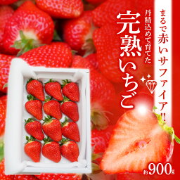 【ふるさと納税】 12月から順次発送 いちご ゆめのか 赤いサファイア 約 900g 贈答 完熟いちご イチゴ 苺 甘い 夢が叶う 久留米55号 系531 O-farm 送料無料 碧南市