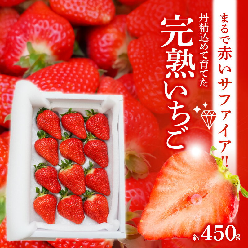 12月以降順次発送 いちご ゆめのか 赤いサファイア 約 450g 贈答 完熟いちご イチゴ 苺 甘い 夢が叶う 久留米55号 系531 O-farm 送料無料 碧南市