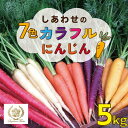 【ふるさと納税】期間限定 にんじん 人参 虹色 カラフル 5kg 塩農法 サラダ セット 贈り物 ギフト 送料無料
