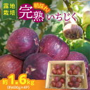 【ふるさと納税】露地栽培 朝もぎ フレッシュ 完熟 いちじく 約 400g×4パック 1.6kg フルーツ 果物 にいみ農園 トマト農家 桝井ドーフィン ほどよい甘さ 皮ごと食べられる 生食 ジャム コンポート サラダ デザート お取り寄せ 碧南市 送料無料