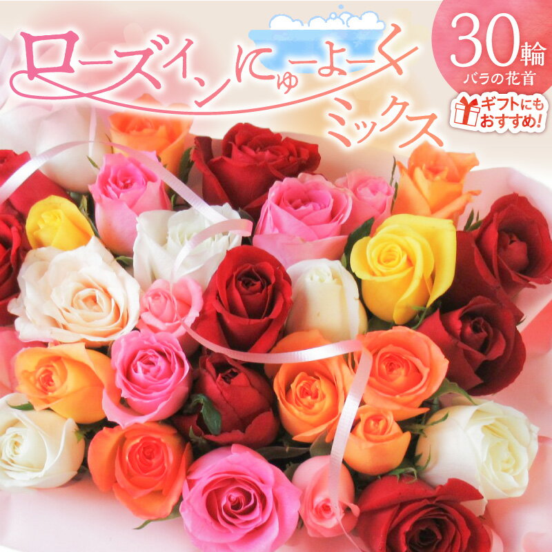 [日付指定可能]生花 バラ 花首 ミックス 詰め合わせ 30輪 ローズインにゅーよーく 観賞 バラ風呂 フラワーシャワー 風呂 ローズ ギフト用 プレゼント用 ラッピング インテリア お花 フラワー 贈り物 華やか 記念日 発表会 愛知県 碧南市 送料無料