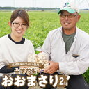 生落花生 おおまさり 2kg とれたて 耕地 美味しい 野菜シリーズ 落花生 産地直送 愛知県 碧南市 送料無料