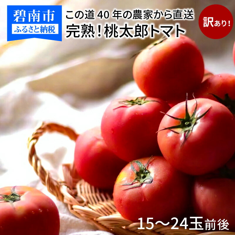 【ふるさと納税】訳あり 桃太郎トマト 15〜24玉 この道40年 農家から 直送 完熟 とまと ご家庭用 B品 皮が薄い 野菜 子供 産地直送 愛知県 碧南市 送料無料