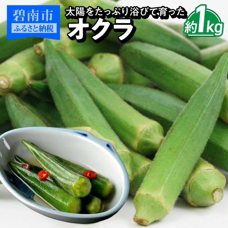 その他野菜(オクラ)人気ランク2位　口コミ数「1件」評価「4」「【ふるさと納税】オクラ 約 1kg 国産 太陽 たっぷり 浴びて 育った 野菜 2024年発送 新鮮 栄養 ボリューム お弁当 天ぷら 産地直送 お取り寄せ セット 料理 総菜 おかず サラダ 愛知県 碧南市 送料無料」